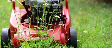 Pierwsze koszenie trawy po zimie