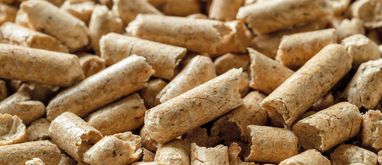 Cena pelletu. Czy będą dopłaty do pelletu?