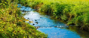 nieduży ciek wodny przebiega przez działkę