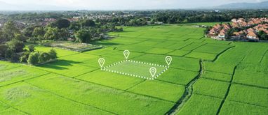 Podział działki rolnej