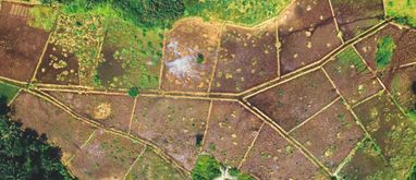 Działka na sprzedaż - jak szybko sprzedać działkę budowlaną?