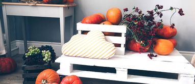 Meble ogrodowe z palet - jak zrobić samemu meble z palet?