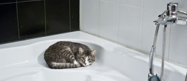 Wanna narożna – czy warto wybrać wannę narożną do łazienki?