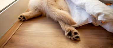 Listwy progowe - jak wygląda montaż listew progowych?