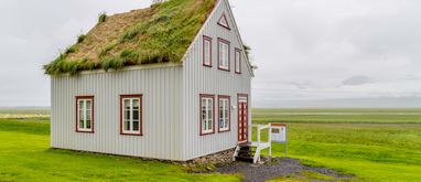 Zielony dach – rodzaje, warstwy i konstrukcja.