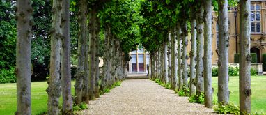 Ścieżki w ogrodzie – jak i z czego je wykonać?