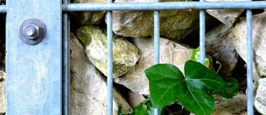 Ogrodzenie gabionowe – cena, montaż i zalety gabionów w ogrodzie