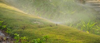 Nawadnianie ogrodu