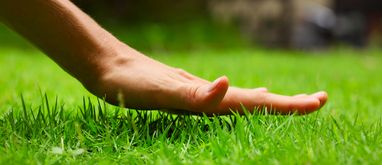 Powierzchnia biologicznie czynna