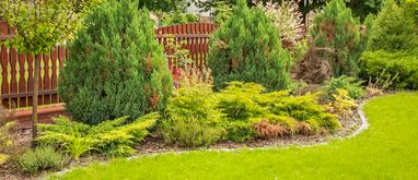 aranżacja ogrodu przy płocie