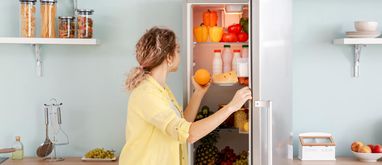 lodówka wolnostojąca