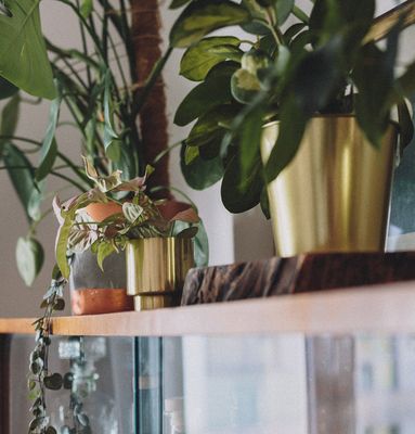 Źródło: Filip Blank