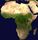 Stolice państw Afryki