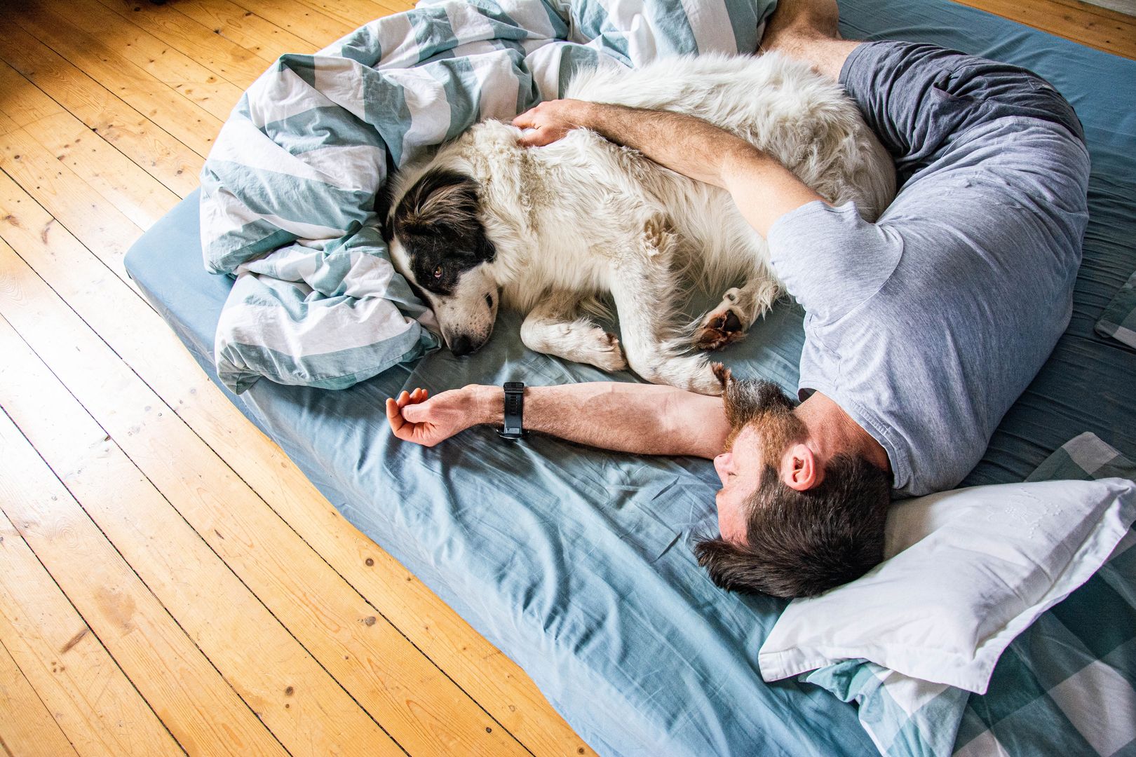 Man sleeps outlet with dog