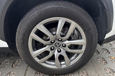 Lexus NX 300h Business Edition AWD