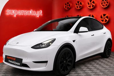 Tesla Model Y Dual Motor  AWD
