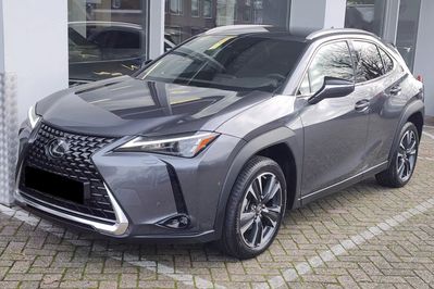 Lexus UX 300h Business 2.0 Hybrid Dynamic Force