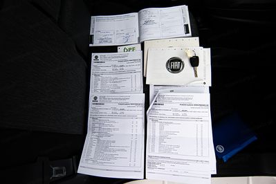 Fiat Doblo Cargo/Van Maxi