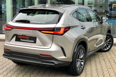 Lexus NX 350h Business AWD