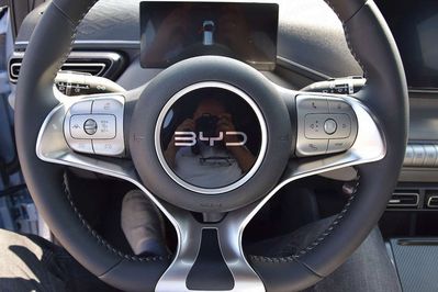 BYD Dolphin Surf Boost