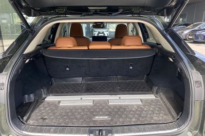 Lexus RX 300 Business Edition +