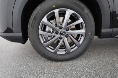 BYD ATTO 2 DM-i Boost