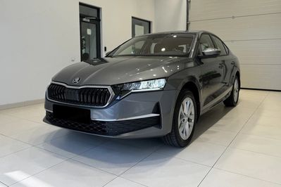 Skoda Octavia Selection 2.0 TSI 4x4 DSG