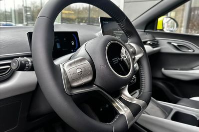 BYD Dolphin Surf Comfort