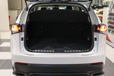 Lexus NX 300 Elegance AWD