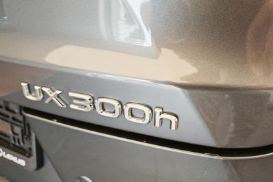 Lexus UX 300h F Sport 2.0 Hybrid Dynamic Force