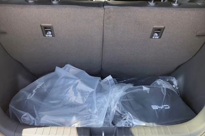 BYD Dolphin Surf Boost