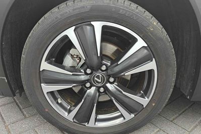 Lexus UX 300h Business 2.0 Hybrid Dynamic Force