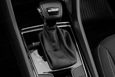 Skoda Karoq 2.0 TDI SCR 4x2 Ambition DSG