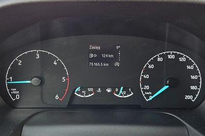 Ford Transit Custom L2H1 Zabudowa Brygadowa