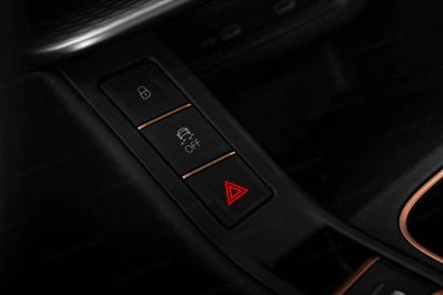 Cupra Terramar Advantage Edition 2.0 TSI 4Drive DSG