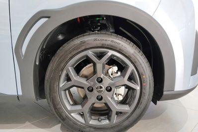 BYD Dolphin Surf Boost