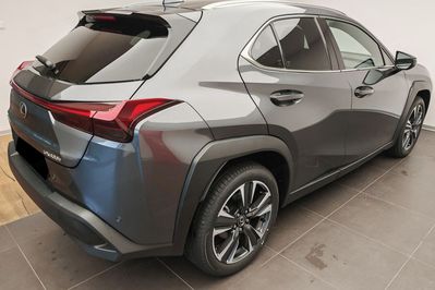 Lexus UX 300h Business 2.0 Hybrid Dynamic Force