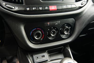 Fiat Doblo Cargo/Van Maxi