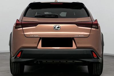 Lexus UX 300h Business 2.0 Hybrid Dynamic Force