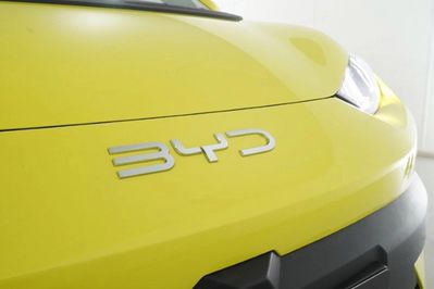 BYD Dolphin Surf Boost