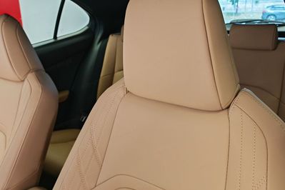 Lexus UX 300h F Sport Design 2.0 Hybrid Dynamic Force