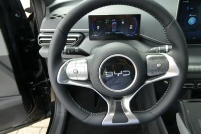 BYD Dolphin Surf Comfort