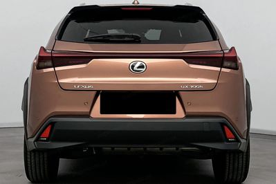 Lexus UX 300h Business 2.0 Hybrid Dynamic Force