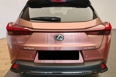 Lexus UX 300h F Sport Design 2.0 Hybrid Dynamic Force