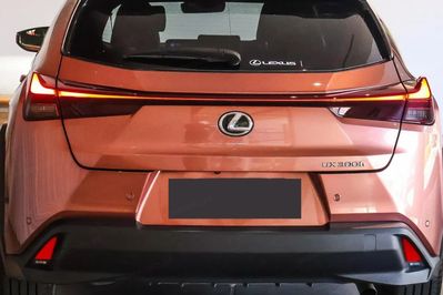 Lexus UX 300h Business