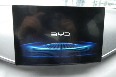 BYD Dolphin Surf Comfort