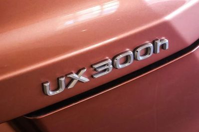 Lexus UX 300h Business