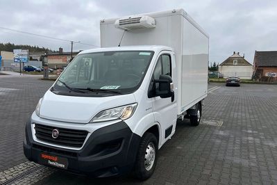 Fiat Ducato Chłodnia/Mroźnia