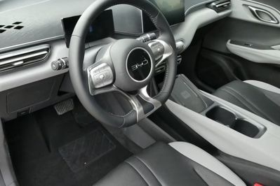 BYD Dolphin Surf Comfort
