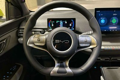 BYD Dolphin Surf Boost